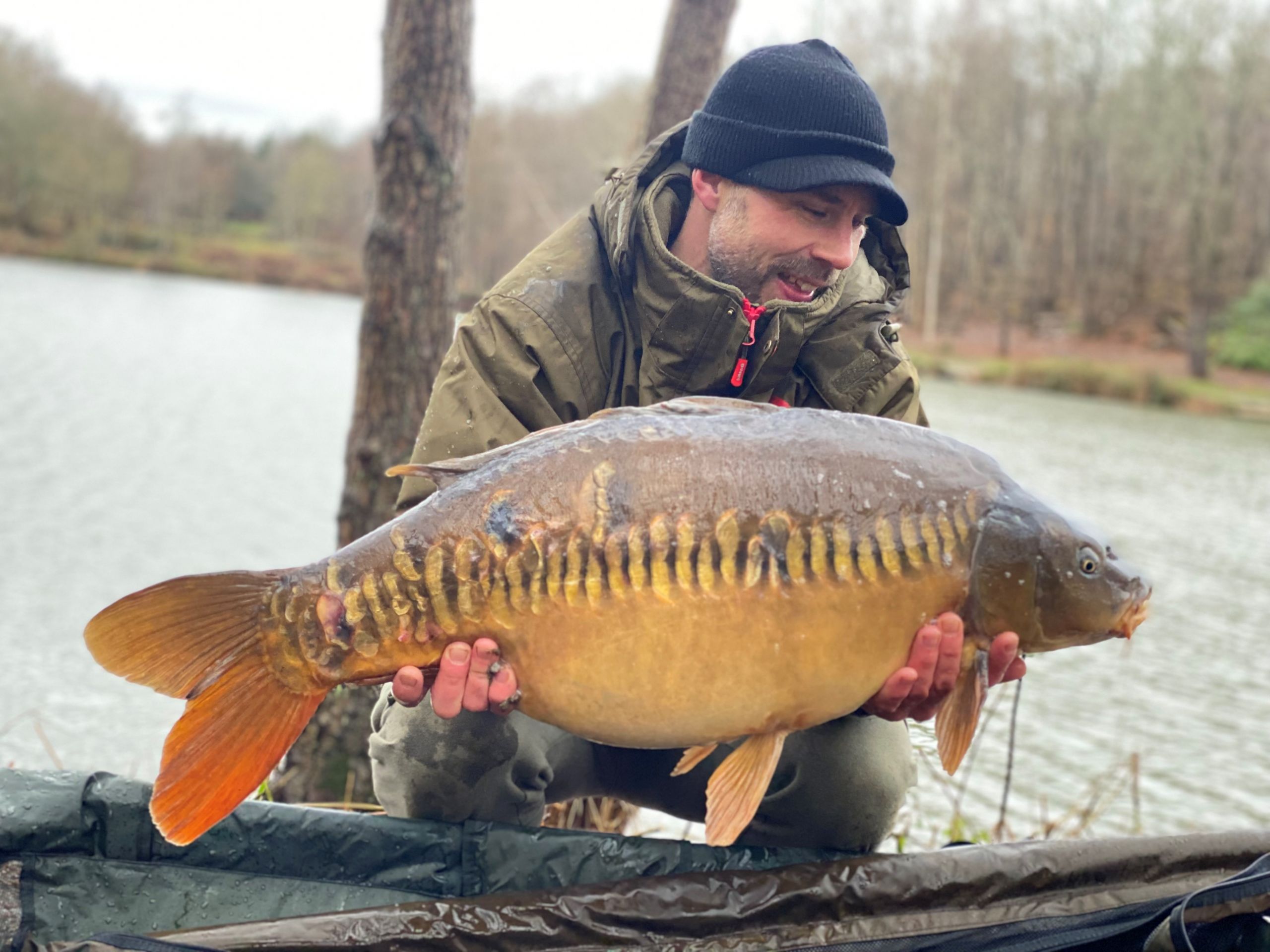 james tolson rosmary 30lb